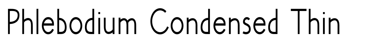 Phlebodium Condensed Thin